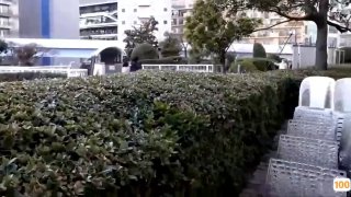 老司机观看免费视频㊙️➕影音先锋av免费无码天堂动漫在线